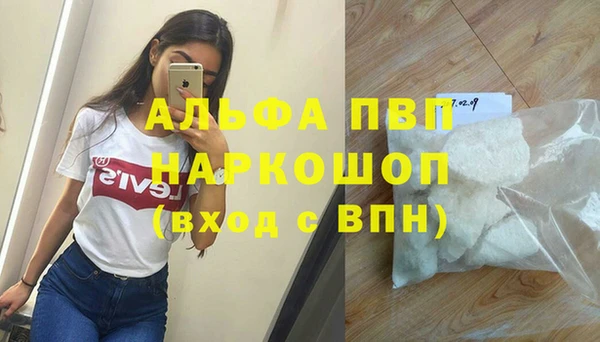 шишки Анжеро-Судженск