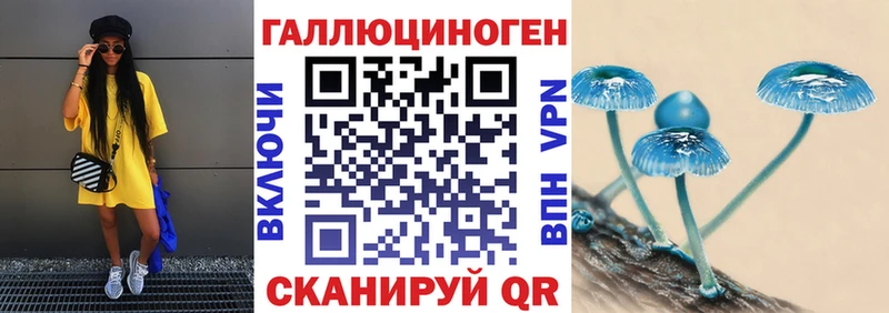 omg рабочий сайт  купить наркоту  Елизаветинская  Псилоцибиновые грибы GOLDEN TEACHER 
